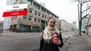 Гашека улица