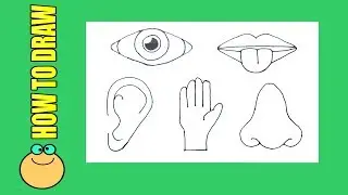 How to draw 5 sense organs (Human senses)