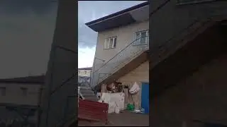 Nevşehir'de Manda Yuva Yapmış Evin Balkonuna...