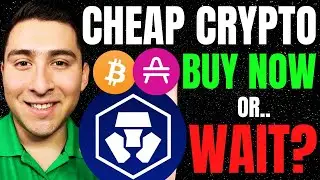 INSANE CRYPTO DEALS (CRO COIN, SHIBA INU, AMP TOKEN) BUY NOW!?