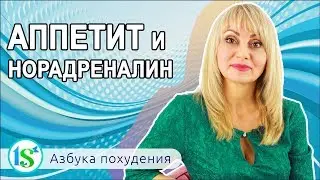 Как влияет на вес и аппетит недостаток гормона норадреналина?