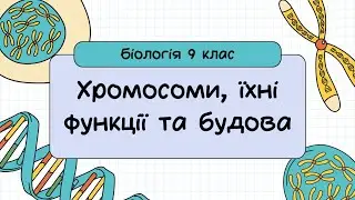 Біологія 9 клас  Хромосоми, їхні функції та будова