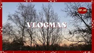 Vlogmas｜🎄荷蘭聖誕月日常｜煮7人聖誕大餐、感謝室友們的照顧