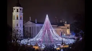 Most Beautiful Christmas Trees in Europe 🔝🎄