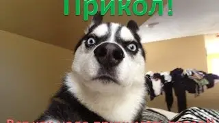 Прикол!! Приемка товара на Aliexpress