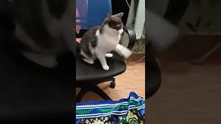Так вот и положи ногу, а её хвать и нет 