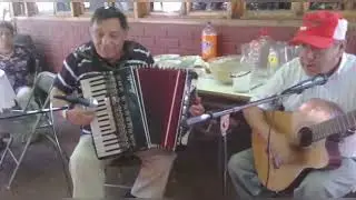 Nano Bahamondes en Acordeón