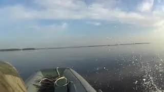 Охота на гуся в Карелии