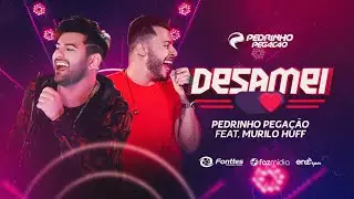 Pedrinho Pegação | Desamei feat. @MuriloHuff | DVD #Adrenalina