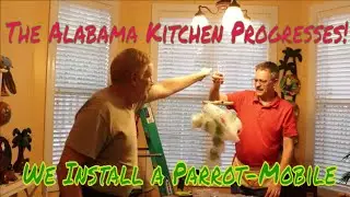 The Parrot-Mobile Adds A Touch Of Tropical Kitche In Montgomery!