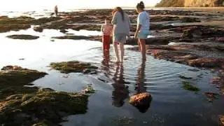 Fun in the ocean