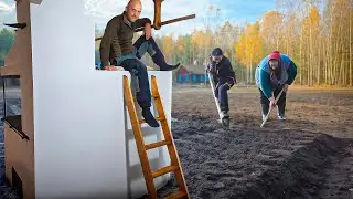Воры проветрили дом, мы реставрируем его и наполняем жизнью. Грибы в ноябре. Сокращаем стадо в зиму.