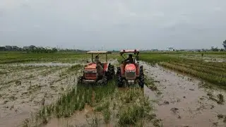 Tractor, Plows Working in the Field | Technology Agriculture Crop Machine Equipment