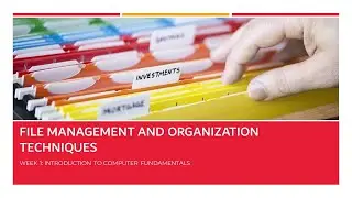 File Management and Organization Techniques | Digital Literacy Course