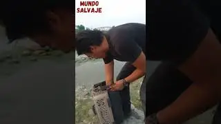 Liberé una iguana en la orilla de un río