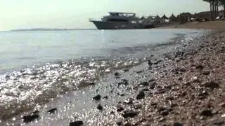 Красавчик местного разлива