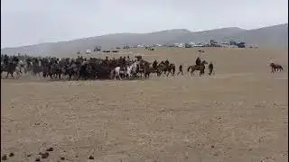 Купкари Улок. Чавандоз.Чопар Отлар. Chopqir Otlar