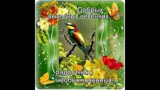 Птицы
