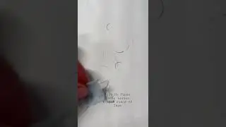 Pick Up Loose Lashes
