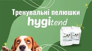 🐶 HYGITEND — ТРЕНУВАЛЬНІ ПЕЛЮШКИ ДЛЯ ЦУЦЕНЯТ І ДОРОСЛИХ СОБАК ХАГІТЕНД — ВЛАСНИЙ БРЕНД ZOOCOMPLEX