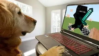 How My Dog Killed Minecraft's Best Player