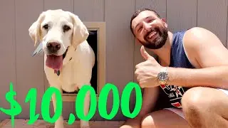 CUSTOM $10,000 DOG HOUSE!!