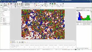 Macro-Particle Distribution Analysis in Image-Pro