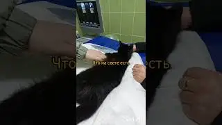 Как это страшно, когда инвалид бедняжка  и все отворачиваются...