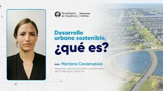 Desarrollo urbano sostenible, ¿qué es?