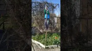 #6 років#спорт