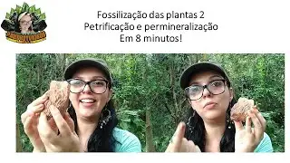 Paleobotânica - Processo de fossilização das plantas do tipo petrificação e permineralização.