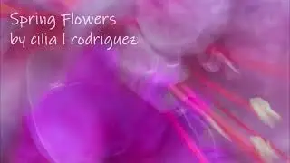 SPRING FLOWERS