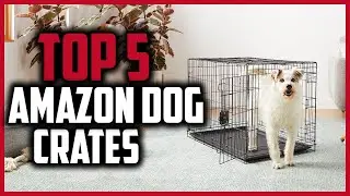 ✅Top 5 Best Amazon Dog Crates in 2024