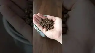From Unroasted Coffee to Espresso #repost