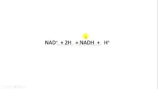 reduction NAD+ to NADH + H+ Harper's Biochemistry mp4