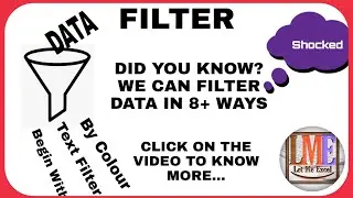 Excel Basic Part 6(Excel Filter,Filter by Color, Text Filter)
