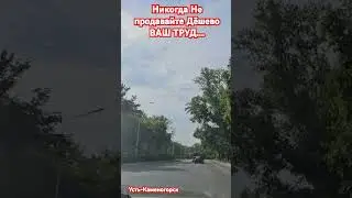 1 августа 2024 г.