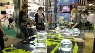 Экспоцентр 2013