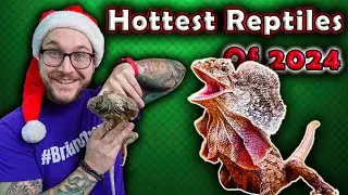 Top 5 Newly Popular Reptiles That Will BLOW UP in 2024!