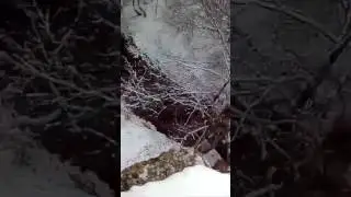 роупджампинг в ставрополе