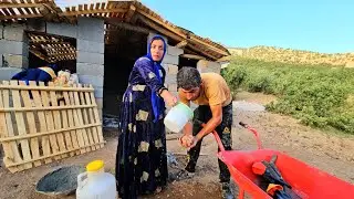 The Operator in Search of a Safe Home for Tayyiba♥️
