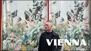 Vienna in one hour