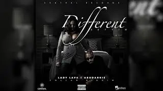 Lady Lava x Abudarkie - Different Settin [Collab Riddim] Official Audio