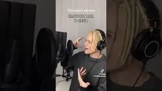 SHAMAN розовый вечер
