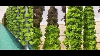 Vertical Aeroponic farming