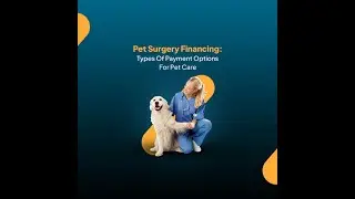 Pet Surgery Financing: Types Of Payment Options For Pet Care
