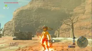 My Diary 1 - The Legend of Zelda: Breath of the Wild