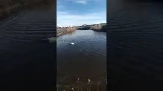 VID 20210202 WA0003