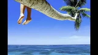 Seychellen Strände - Seychelles Beaches - Dream about the Ocean
