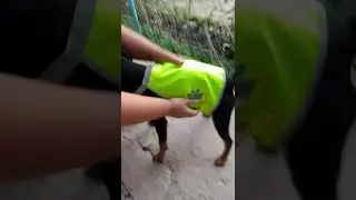 Обзор гардероба Курца